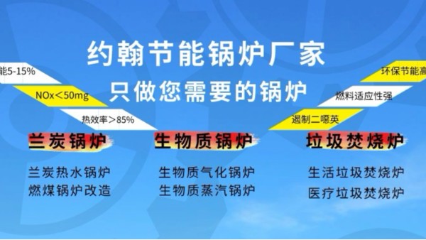 1200 420約翰節(jié)能生物質(zhì)蘭炭鍋爐垃圾焚燒爐廠家