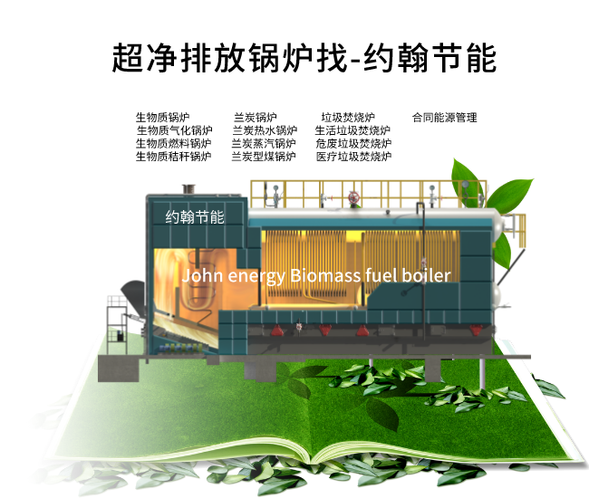 約翰節(jié)能SZBQ-生物質(zhì)燃料鍋爐廠家