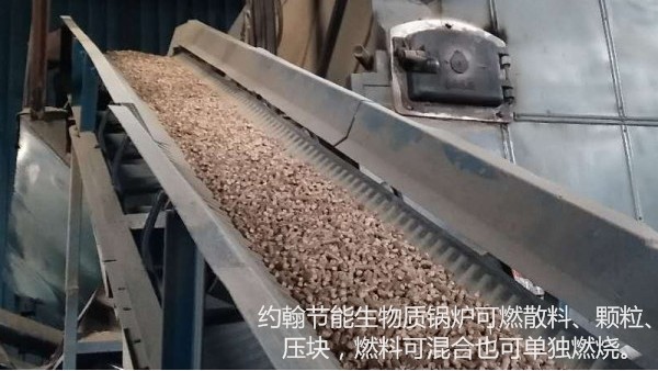 約翰節(jié)能生物在燃料鍋爐0