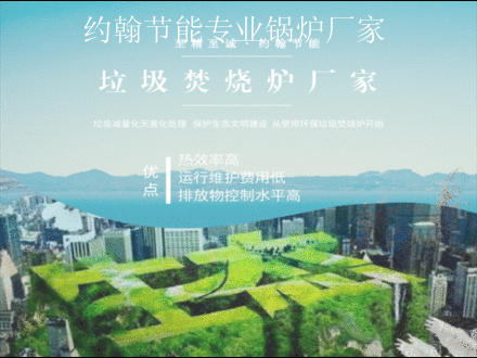 約翰節(jié)能蘭炭生物質(zhì)鍋爐垃圾無害化處理廠家