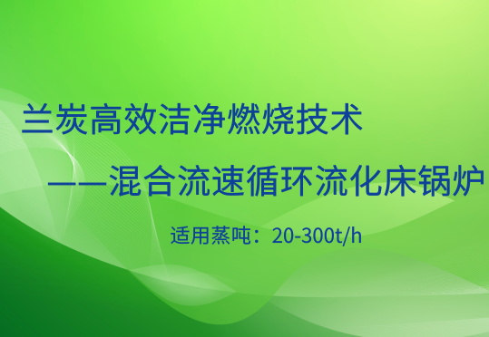 混合流速蘭炭流化床鍋爐