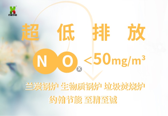 約翰節(jié)能SZBQ生物質(zhì)蘭炭鍋爐垃圾焚燒爐NOx小于50mg