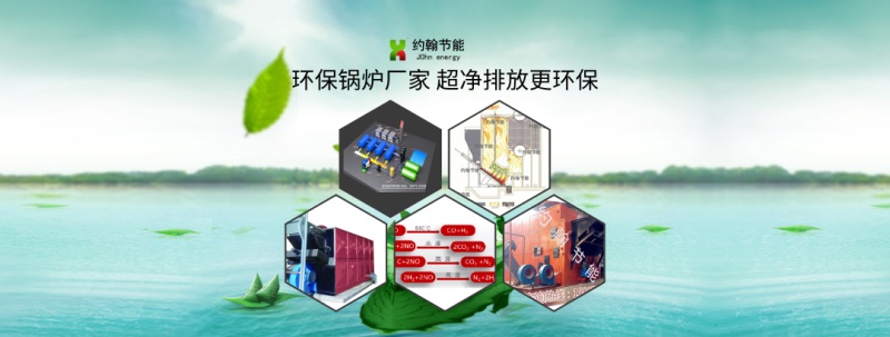 約翰節(jié)能供應(yīng)生物質(zhì)鍋爐 800
